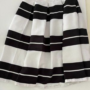 Express Full Pleated Skirt Size 2